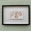 Image 1 of £50 originals - Seashells watercolour & tea