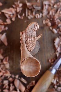 Image 1 of Owl Coffee Scoop 