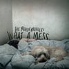 Murderburgers - What A Mess Cd (Japanese Import)