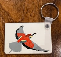Image 1 of Bee-eater Keyring
