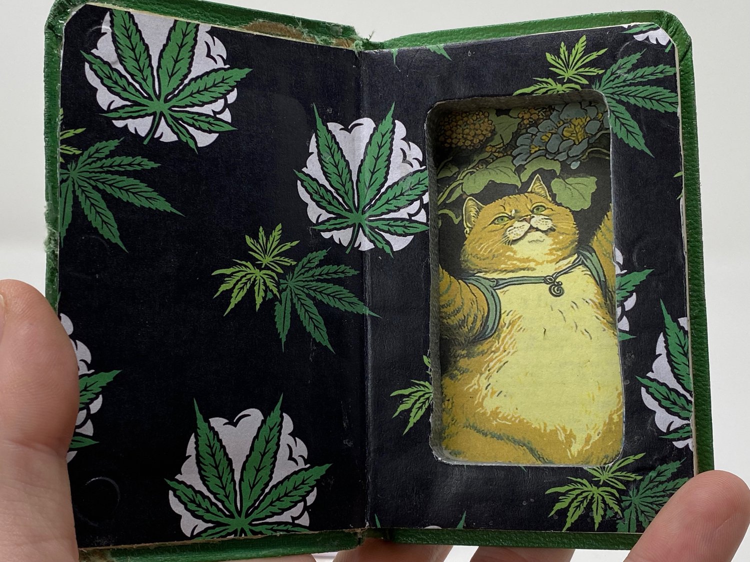 Image of Pocket Bible Joint Case (chonky desmond the cat)