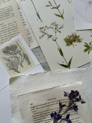 Image of Botanical inspiration pocket #3