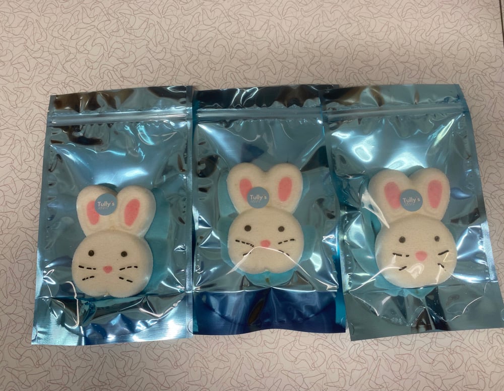 Image of Marshmallow Bunny