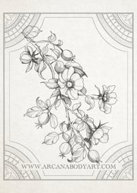 Image 1 of Rosehip