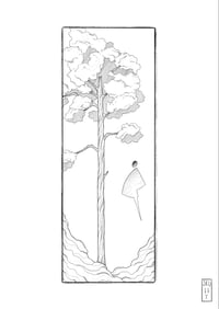 Image 1 of Old oak terrarium 
