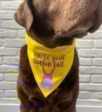 Image 8 of Shake Your Cotton Tail Dog Bandana 