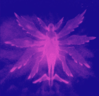 Aura & Psychic Gifts  Reading 