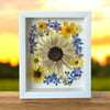 Genuine Sunflower, Delphinium And Pansy Wildflowers In 8" X 10" Shadow Box (Item# 202201LS)