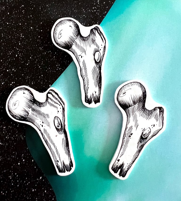 BROCHE « TÊTE DE FÉMUR » Image 2