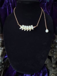 Image 3 of Articulated Snake Vertebrae - Snecklace