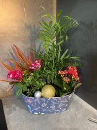 Image 8 of Christmas planter 