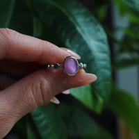 Image 2 of Pink Pearl 