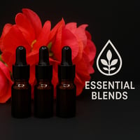 Beard Oil Minis (.34oz/each bottle) 3pk