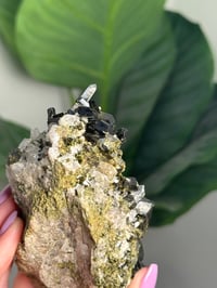 Image 2 of HQ EPIDOTE AND QUARTZ -TURKEY- A