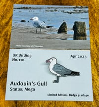 Image 1 of Audouin's Gull - No.110 - UK Birding Pins - Enamel Pin Badge