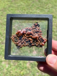 Image 13 of Vanadinite On Black Barite Specimen #2548