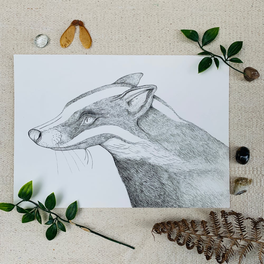 Image of Instinct Badger Print