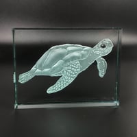 Image 2 of Turtle Glass Block