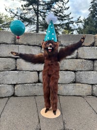 Image 1 of Party Animal 