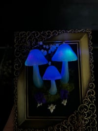 Image 2 of Gold frame small led 