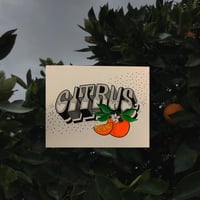 CITRUS🍊✨