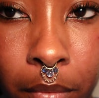 Image 2 of Snowglobe Septum