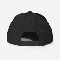 Image of Startail Betta Embroided Snapback Hat
