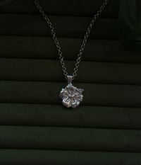 Image 2 of Hibiscus Talisman