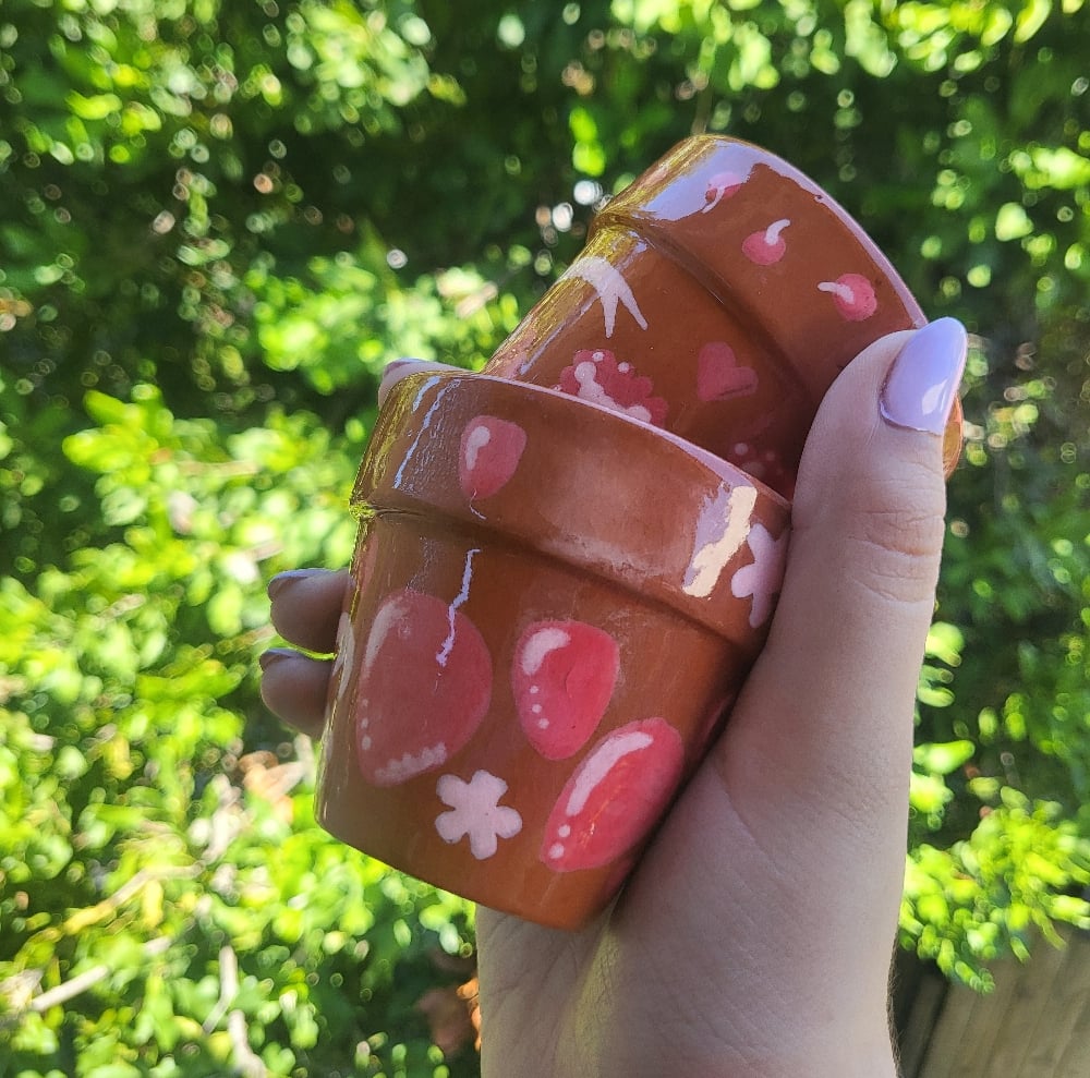 Image of Fruity terracotta pots set