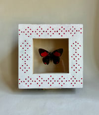 Image 1 of Small Polka Dot Bug Box 
