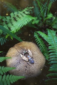 Image 2 of Mini Fern Portal 