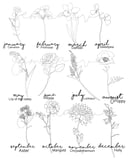 Image 3 of Birth Flower Portrait