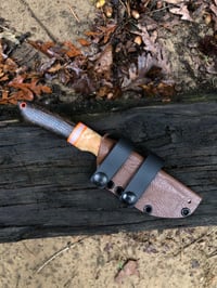 Image 5 of Potami Plus Mojave