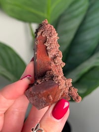 Image 3 of RED IRON OXIDE/HEMATITE QUARTZ -MOROCCO- E