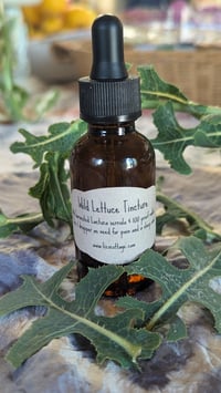 Image 2 of Wild Lettuce Tincture