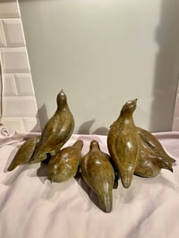 Image 2 of Caroline Wallace Covey of Grey Partridge 