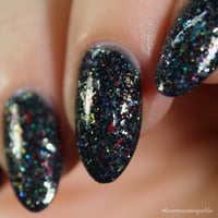 Image 11 of License To Krill