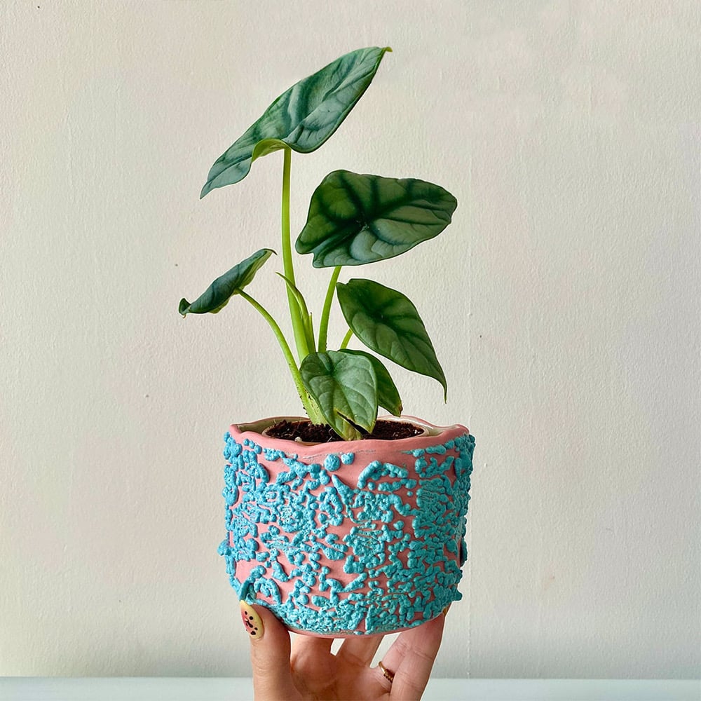 Image of Solaris Plant Pot #1