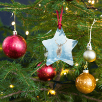 Image 5 of Wooden ornaments (deer in the snow)