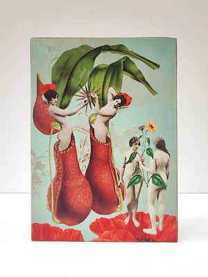 Image of Renacimiento.