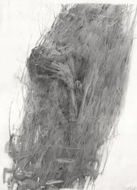 Image 1 of Equilibre 