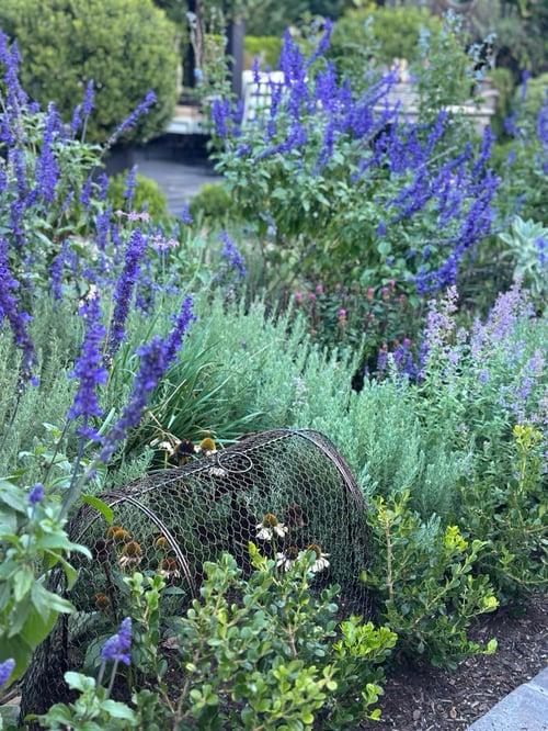 Image of Oval Garden Cloche House
