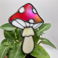 Image 1 of Iridescent Red Plant Buddy 