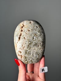 Image 1 of LARGE ORBICULAR JASPER FREEFORMS