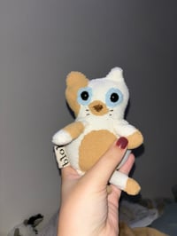 Image 3 of Cat Customs