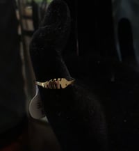 Image 4 of Lovely Rings
