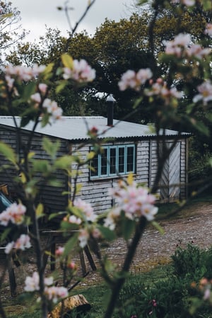 Image of Workshop Voucher