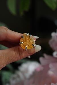 Image 1 of Citrine Claws