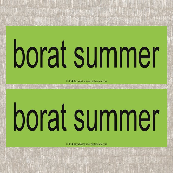 Image of Borat Summer - Bumper Stickers