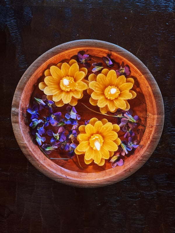 Image of Floating Daisy Beeswax Candles 